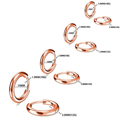 316L Surgical Stainless Steel Small Hoop Earrings 8mm 10mm 12mm 14mm Hypoallergenic Huggie Hoop Earrings Helix Lobes Hinged Sleeper Earrings Cartilage Piercings - color: J: Rose Gold (Diameter 8mm/10mm/12mm/14mm),4 Pairs
