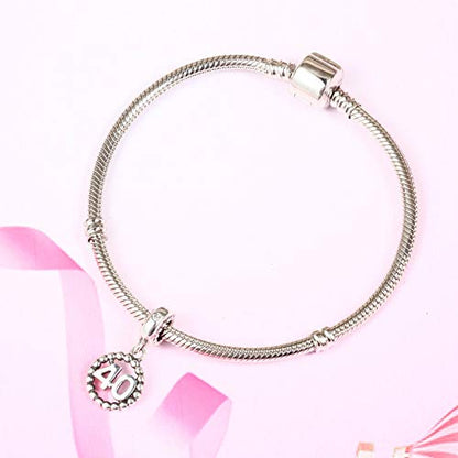 5,10,15,16,17,18,20,21,25,30,35,40,42,49,50,55,60,65,70 Number Charms for European Bracelet, 925 Sterling Silver Birthday Pendant Beads with CZ, Gifts for Mothers Day/Anniversary - color: Number 40 Charm