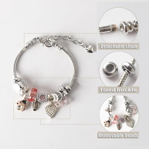 DS Charm Bracelets for Girls Adjustable Silver Stainless Steel Gift Box | Cute Cartoon Charms,Friendship Jewelry,Birthday Gifts,Teen Kid Fit, Tarnish Resistant,Stackable Trendy Daily Wear - style: Silver-beetle