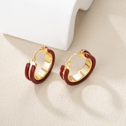 Dr's gift Chunky Leopard Print Earrings for Women 14K Gold Plated Statement Huggie Hoop Earrings Brown Acrylic Tortoise Resin Cheetah Trendy Jewelry - color: red
