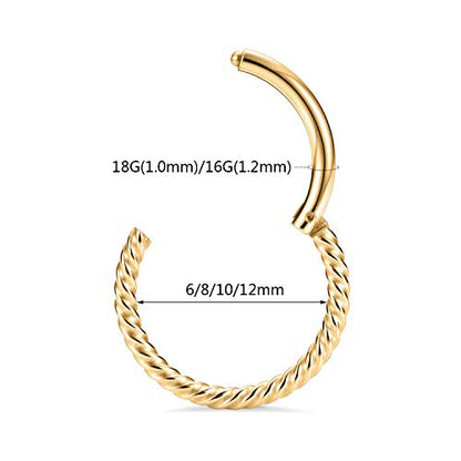 GAGABODY 2 Pcs Nose Rings 22G 20G 18G 16G 14G 12G 10G 8G Surgical Steel Piercing Rings for Nose Septum Cartilage Helix Tragus Conch Rook Daith Lobe from 5mm to 16mm Seamless Hoop Unisex Hinged Earrings - color: Gold -Twisted