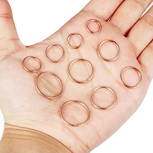 Vsnnsns 14G 16G Septum Nose Rings Hoops Lip Ring Piercing Jewelry 316L Surgical Steel Hinged Segment Clicker Cartilage Tragus Helix Conch Rook Daith Lobe Earrings Hoops Piercing Jewelry for Women Men - color: 16G-Rose Gold