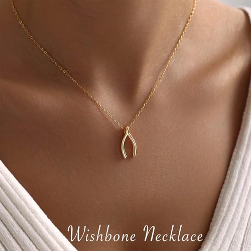 Gold Silver Pendant Necklace for Women, Dainty CZ Jewelry Gift | 14K Gold Silver Plated, Cubic Zirconia Pearl Charm, Trendy Layered Necklace, Adjustable Chain, Waterproof, Hypoallergenic - color: Gold-Wishbone