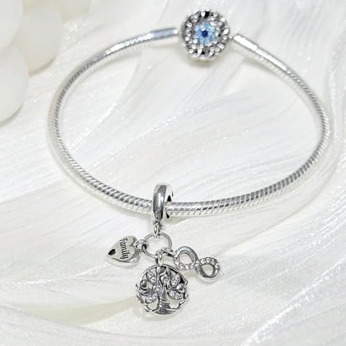 925 Sterling Silver Bead Charm for Pandora Bracelets and Necklaces,Pink Bow Cherry Butterfly Blue Ocean Pendant Bead Charms Jewelry Present Valentines Gifts for Wife/Girlfriend Women - style: Infinite Family Tree Charms