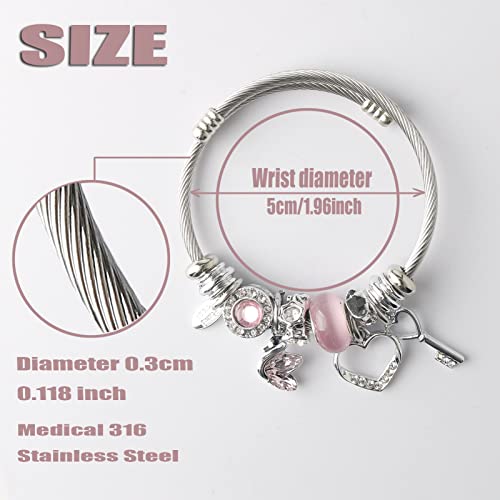 DS Charm Bracelets for girls,exquisite cute cartoon friendship bracelets Silver Stainless Steel Bangle with birthday Gift box, Adjustable girls jewelry Suitable for holiday gifts - style: Silver-Pink Swan