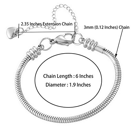 Women Snake Chain Charms Bracelet Moments Slider Love Memorial Stainless Steel Bracelet fit Charm Beads, 6 Inch