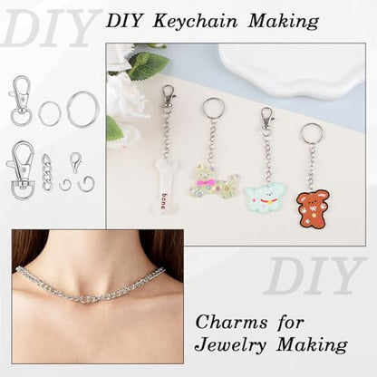 BESARME 1130PCS Keychain Making Kit Jump Rings for Jewelry DIY Key Chain Supplies with Keyrings Bulk, Metal Lobster Claw Clasp, Swivel Snap Hook, Extender Chain for Crafts Accessories（Silver） - color: Silver