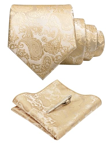 JEMYGINS Mens Solid Color Paisley Necktie and Pocket Square with Tie Clip Sets - color: Champagne