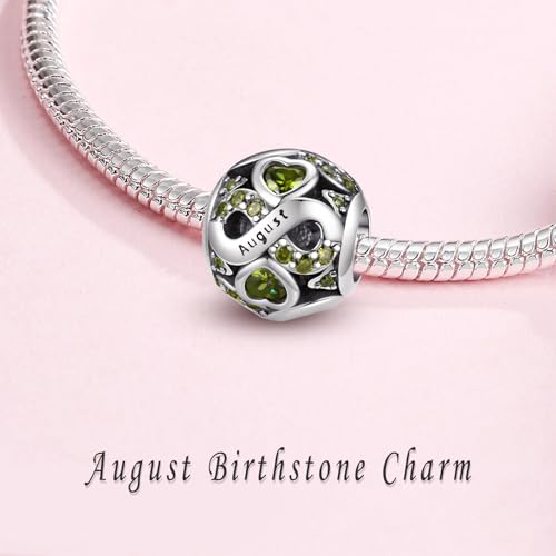 HappyStar 925 Sterling Silver Birthstone Charms fits Charms Bracelets for Woman，with 5A Cubic Zirconia Dangle Pendant Bead,Happy Birthday Charms for Bracelet and Necklace - color: C8 Infinity Symbol August Birthstones