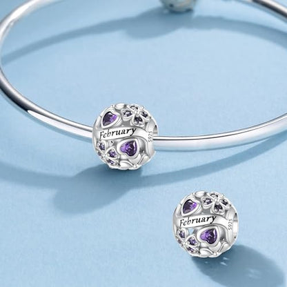 HappyStar 925 Sterling Silver Four Leaf Clover Bead Charm with Cubic Zirconia Birthstone Charms for Bracelets Dangle Pendant Compatible Pandora Bracelets Lucky Charm Birthday Gift - color: 2-February Birthstone Bead