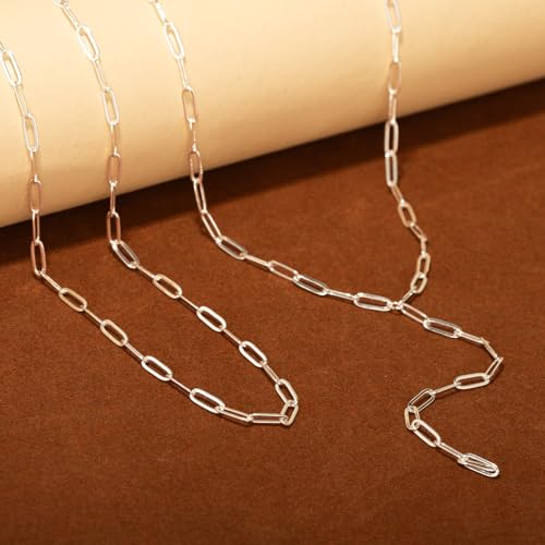 Lariat Necklace for Women, Dainty 14K Gold/Silver Plated Long Necklaces for Women Trendy Simple Layered Y-Shaped Pendant Necklace Adjustable Fashion Jewelry Gift - color: Silver, style: Paperclip Chain