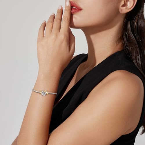 DALARAN Stopper Beads for Bracelets 925 Sterling Silver Clip Spacer Charm Bracelet Stoppers - style: sliver gold charms-4