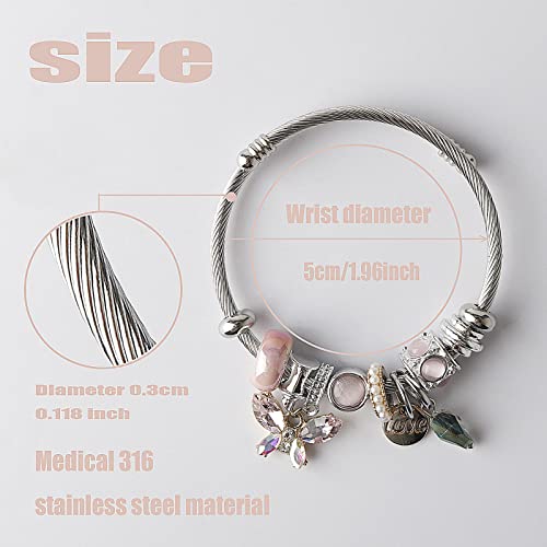 DS Charm Bracelets for girls,exquisite cute cartoon friendship bracelets Silver Stainless Steel Bangle with birthday Gift box, Adjustable girls jewelry Suitable for holiday gifts - style: Silver-pink butterfly