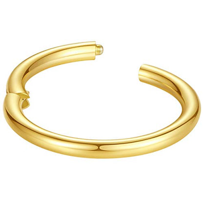 ORANGELOVE Hypoallergenic Nose Rings 20G 18G 16G 14G 12G 10G 8G 316l Surgical Steel Septum Jewelry Hinged Segment Ring Body Piercing Nose Hoop Lip Rings Nose Helix Cartilage Rook Earrings - color: Gold, size: 1pc 10 Gauge 16mm