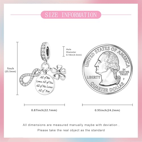 925 Sterling Silver Bead Charm for Pandora Bracelets and Necklaces,Pink Bow Cherry Butterfly Blue Ocean Pendant Bead Charms Jewelry Present Valentines Gifts for Wife/Girlfriend Women - style: All of Me Loves All of You