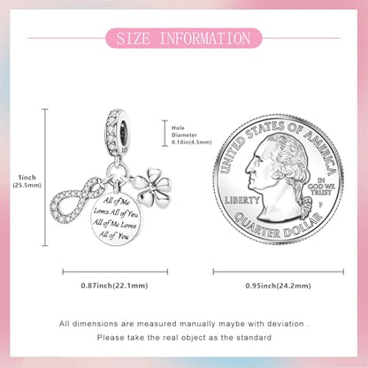 925 Sterling Silver Bead Charm for Pandora Bracelets and Necklaces,Pink Bow Cherry Butterfly Blue Ocean Pendant Bead Charms Jewelry Present Valentines Gifts for Wife/Girlfriend Women - style: All of Me Loves All of You