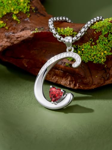 A to Z Initial Birthstone Pendant Necklaces Name Jewelry for Women | 18K White Gold Plated Personalized Alphabet Jewelry Anniversary Christmas Birthday Gifts for Wife Her Daughter Girlfriend - color: C Initial-01-Jan