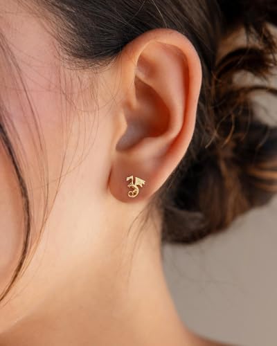 Stud Earrings for Women- 14K Gold/White Gold Plated/Black Bow Dragon Softball Snake Bat Stud Earrings - color: Dragon
