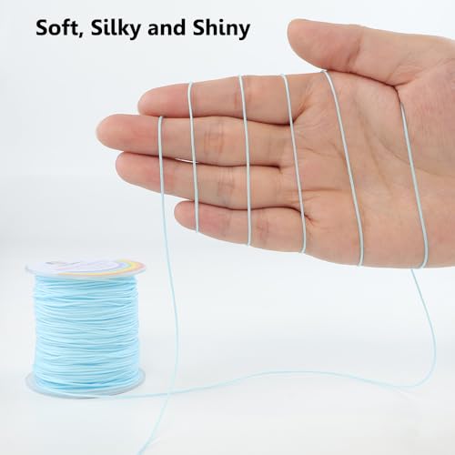 LUSTEMBER 0.8mm Nylon String, Strong Bracelet String, Durable Nylon Cord for Jewelry Making, Bracelets, Beading, Necklaces, Rattail Braiding, Kumihimo, Wind Chimes, Blinds and Handicrafts - size: Sky Blue