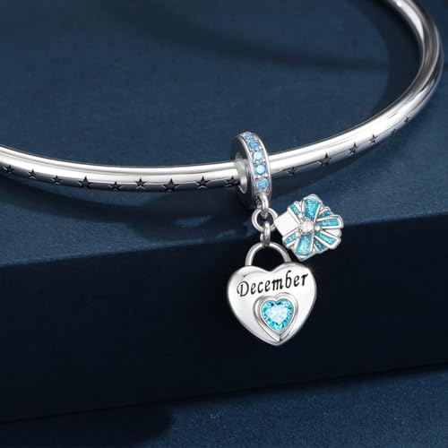 HappyStar 925 Sterling Silver Happy Birthday Bead Charm Love Heart Shape Birthstone Charms for Bracelets Dangle Pendant with 5A Cubic Zirconia Compatible Pandora Bracelets Jewelry Gift for Women - color: 93-December Birthstone Charms