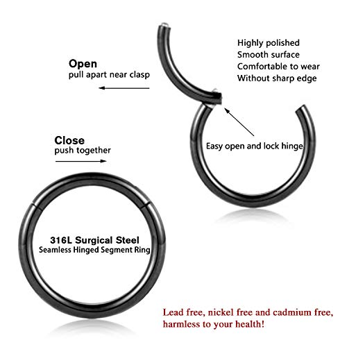 FUNLMO 316L Surgical Steel Hinged Segment Nose Ring Hoop for Nose Septum Cartilage Helix Tragus Conch Rook Daith Lobe Lip Piercings 1 Pc - color: Black