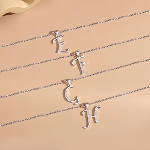 VIKI LYNN Dainty Initial Letter Pendant Necklace for Women | Cubic Zirconia Initial Jewelry, Personalized Letter Necklace, Dainty Women Jewelry, Birthday Gift Idea for Her, Mom and Wife - color: Silver, style: Silver-E