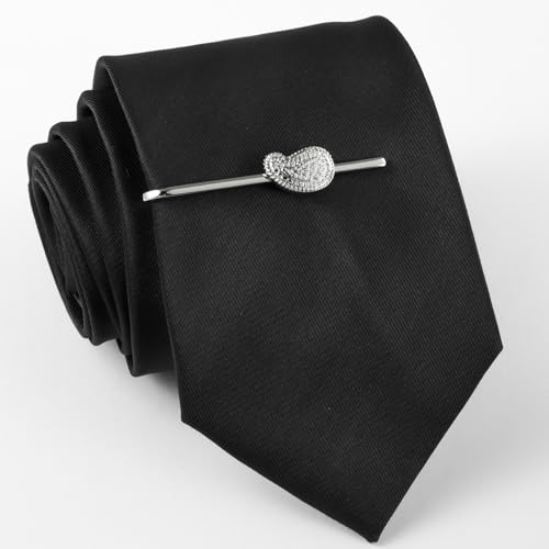 HAWSON Various Tie Clips for Men Unique, Funny Novelty Mens Tie Bar, Personalized Tie Pins for Men, Theme Wedding Party Gifts - style: Paisley Swirl