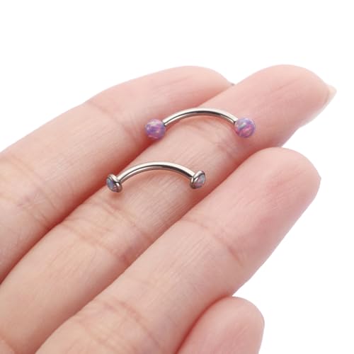 G23 Titanium Eyebrow Piercing Jewelry Eyebrow Rings Curved Barbell 16G Eyebrow Belly Button Ring Navel Rings Rook Daith Earrings Lip Ring Eyebrow Jewelry 6mm-12mm - color: 2PCS,Ball Shape Purple Opal+Disc Shape Purple Opal,Silver