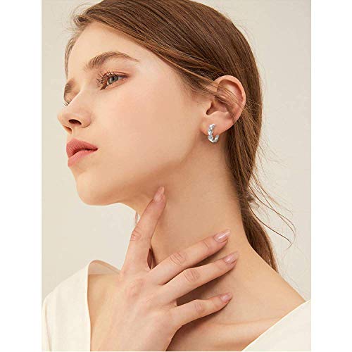 CiNily 14K White Gold Plated Small Hoop Earrings for Women Girls Heart Cubic Zirconia Hypoallergenic Earrings - color: Silver-white