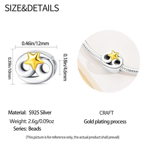 925 Sterling Silver 12 Astrological Signs Charm for Bracelets and Necklace Happy Birthday Charms for Bracelet and Necklace Valentine's Day Mother's Day Gift - style: Cancer Charm