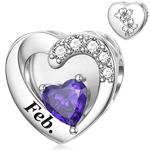 SEVENWELL Jan-Dec Birthstone Charms for Pandora Bracelets, Heart Charm | Fits Most European Charm Bracelets, Sparkling Heart CZ, Birth Flower Engraved, Gift Ready, Nickel-Free - color: February Birthstone Charm
