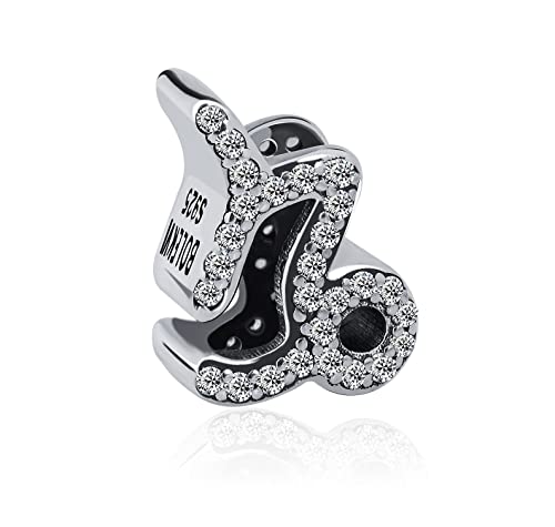 12 Zodiac Signs Birthday Constellations 925 Sterling Silver Charm Bead fits Pandora Bracelets & Necklaces & More - color: Capricorn