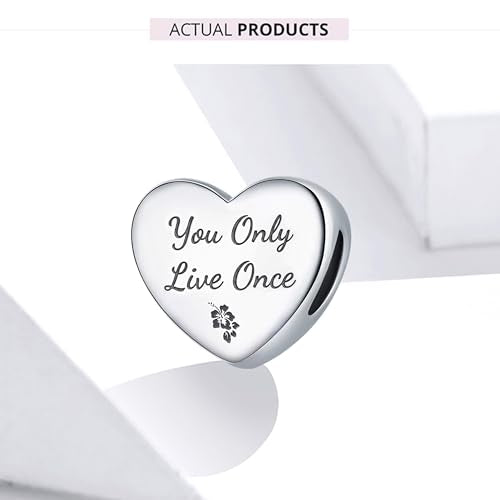 Love Heart Charm Fit for Pandora Charms Bracelets You Only Live Once Charm Birthday Gifts for Women