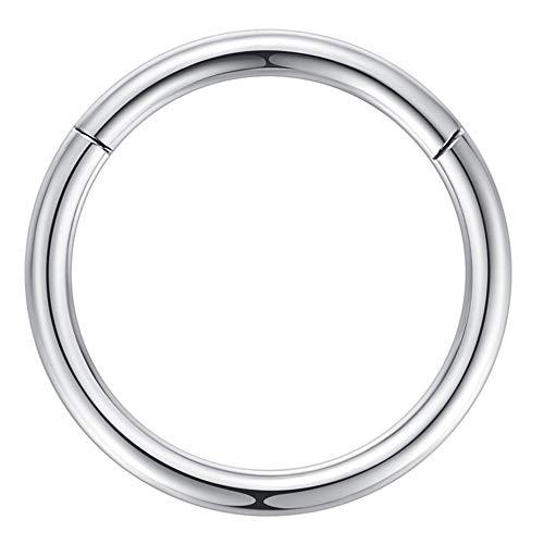 ORANGELOVE Hypoallergenic Nose Rings 20G 18G 16G 14G 12G 10G 8G 316l Surgical Steel Septum Jewelry Hinged Segment Ring Body Piercing Nose Hoop Lip Rings Nose Helix Cartilage Rook Earrings - color: Silver, size: 1pc 8 Gauge 14mm