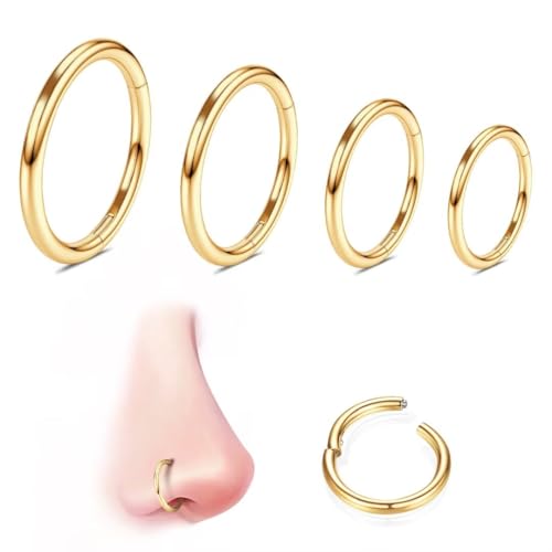 WBRWP 316L Stainless Steel Nose Rings Hoop for Women Men Hypoallergenic | 20G 18G 16G 14G Conch Piercing Jewelry Segment Clicker Lip Rings Helix Cartilage Rook Earrings Diameter 6mm 8mm 10mm 12mm - color: 4pc set in gold color(each dia. 1 pc)