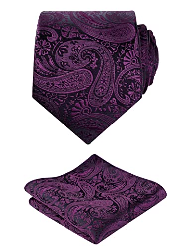 Alizeal Mens Gradient Paisley Necktie and Pocket Square Set | Elegant Design Perfect for Weddings Banquets Business Formal Events - color: 170-plum Purple