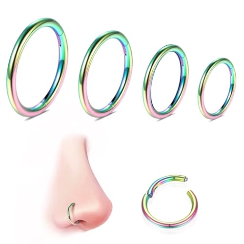 WBRWP 316L Stainless Steel Nose Rings Hoop for Women Men Hypoallergenic | 20G 18G 16G 14G Conch Piercing Jewelry Segment Clicker Lip Rings Helix Cartilage Rook Earrings Diameter 6mm 8mm 10mm 12mm - color: 4pc set in rainbow color(each dia. 1 pc)