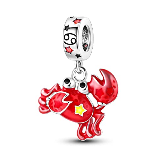 Zodiac Sign Charms for Bracelet Necklace 925 Sterling Silver Charms 12 Constellation/Horoscope Star Dangle Birthstone Beads, Birthday Jewelry Gifts for Women Men - color: Zodiac Cancer(6.21～7.22)