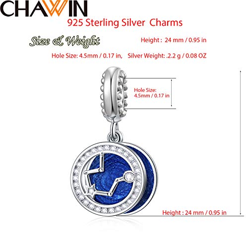 Zodiac Sign Charms for Charm Bracelets - 925 Sterling Silver Necklace Pendants, 12 Constellation/Horoscope Star Dangle - Dangling Birthstone Beads, Birthday Gifts for Women/Men. - color: Aquarius (1.20～2.18)
