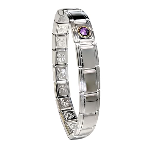 Birthstone Charm Bracelet Jewelry, Italian Modular Family Birthstone Charm Starter Stainless Steel - color: 18 LINKS-SILVER-02-February