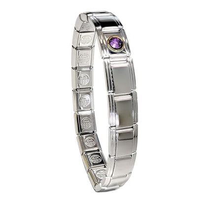 Birthstone Charm Bracelet Jewelry, Italian Modular Family Birthstone Charm Starter Stainless Steel - color: 18 LINKS-SILVER-02-February