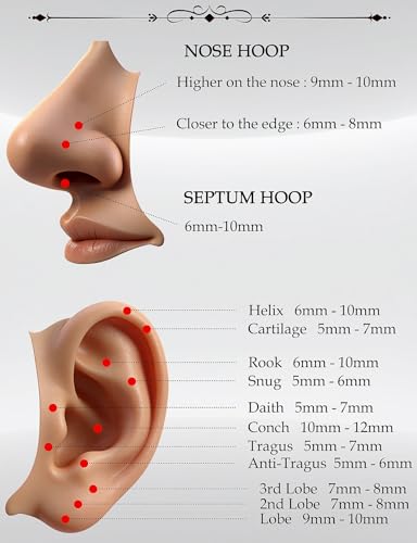 Septum Rings 16G 14G 12G 10G 8G 6G 4G 2G Surgical Steel Septum Stretching Kit Septum Pincher Tapers Gauge Kit Nose Ring Hoop Horseshoe Helix Tragus Daith Rook Piercing Jewelry for Women Men - style: 12G(2.0mm)-Inner Dia:12mm