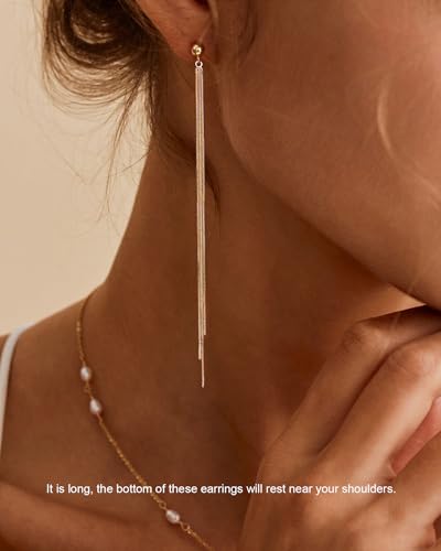 Dangle Earrings for Women - 14K Gold/White Gold/Rose Gold Plated Butterfly Heart Star Hoop Chain Long Tassel Cubic Zirconia CZ Dangle Earrings - color: Line Tassel