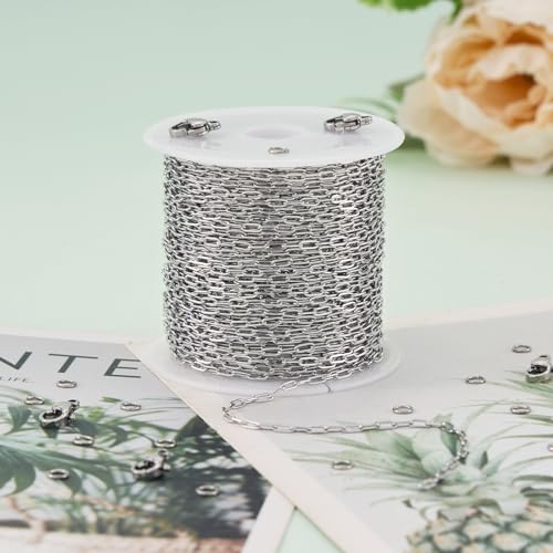 UMAOKANG 32.8 Feet Stainless Steel Paperclip Chain Bulk for Jewelry Making Small Craft Chain DIY Jewelry Supplies - color: Paperclip Silver