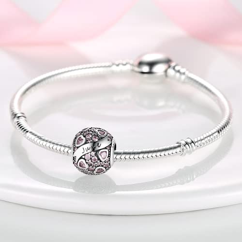 MULA Birthstone Charms 925 Sterling Silver for Bracelets and Necklaces | Dangle Pendants Beads With 5A Cubic Zirconia - Happy Birthday Mothers Day Jewelry - color: June Birthstone