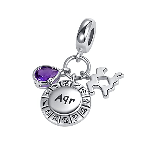 Teardrop Birthstone Birthday Constellation Charm for Women Pandora Bracelets Horoscope Zodiac Sign Anniversary Dangle Bead for Mom Sister Grandma - style: Aquarius(1.20-2.18)