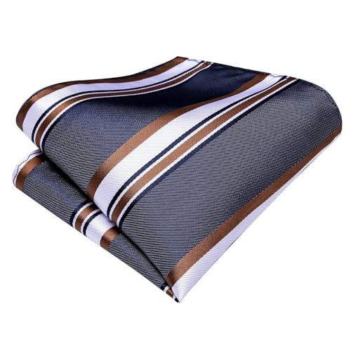 Dubulle Mens Paisley Striped Tie Woven Necktie for Men and Handkerchief Cufflinks Set Wedding Formal Business - color: Brown Blue