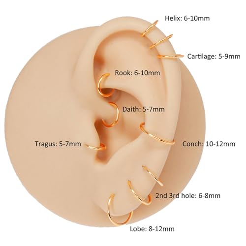 Small Gold Hoop Earrings, Lightweight 14K Gold Plated Huggie Hoop Earrings for Cartilage Helix Tragus, Hypoallergenic Earrings for Women Men, Tiny Thin Hoops Surgical Steel Endless Hoops Earrings 6-10 mm - color: 6/8/10mm Hoop Gold-18g