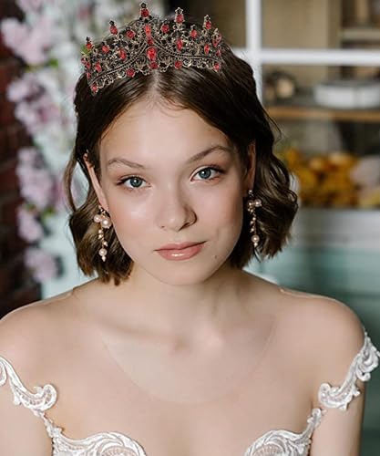 COCIDE Black & Red Crowns for Women Gothic Tiaras for Women Queen of Hearts Crown Accessories Costume Halloween Cosplay Princess Birthday Pageant Bride Headpieces - color: V7,Black&Red