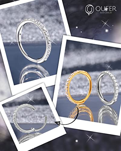OUFER Nose Rings Surgical Steel Cartilage Earrings Tragus 316L Stainless Steel Helix Earrings Cartilage Earring 14G/16G/18G/20G Hinged Segment Rings Hoop - color: Silver